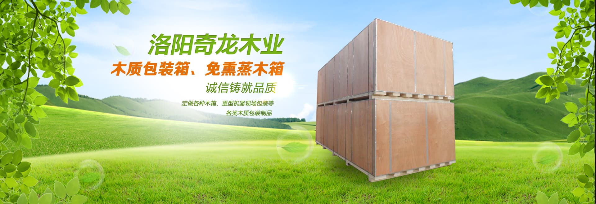 洛陽免熏蒸木箱-洛陽洛南奇龍木材